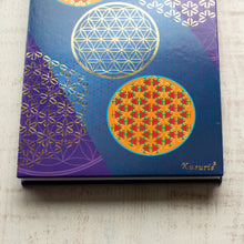 画像をギャラリービューアに読み込む, クスリエ アコーディオンノート